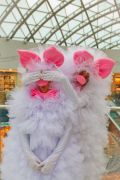 Фьеки-пушистики на ваш праздник (3 фотографии)
