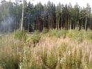 Продам земли сельхозназначения, пос. Прохладный (3 фотографии)